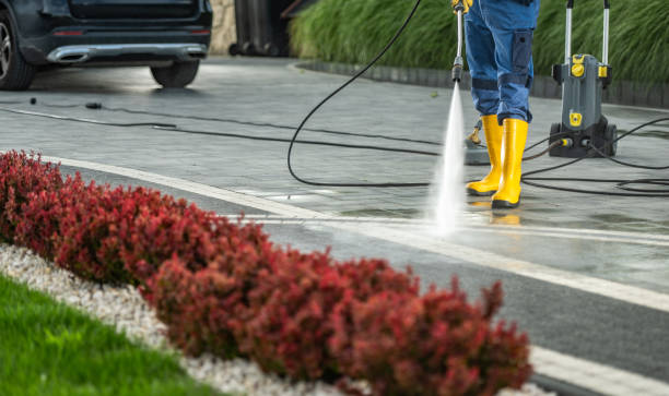 Best Sidewalk and Walkway Cleaning  in Flemington, PA